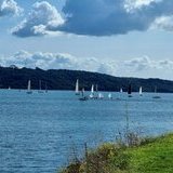 Grand cœur marin 2024